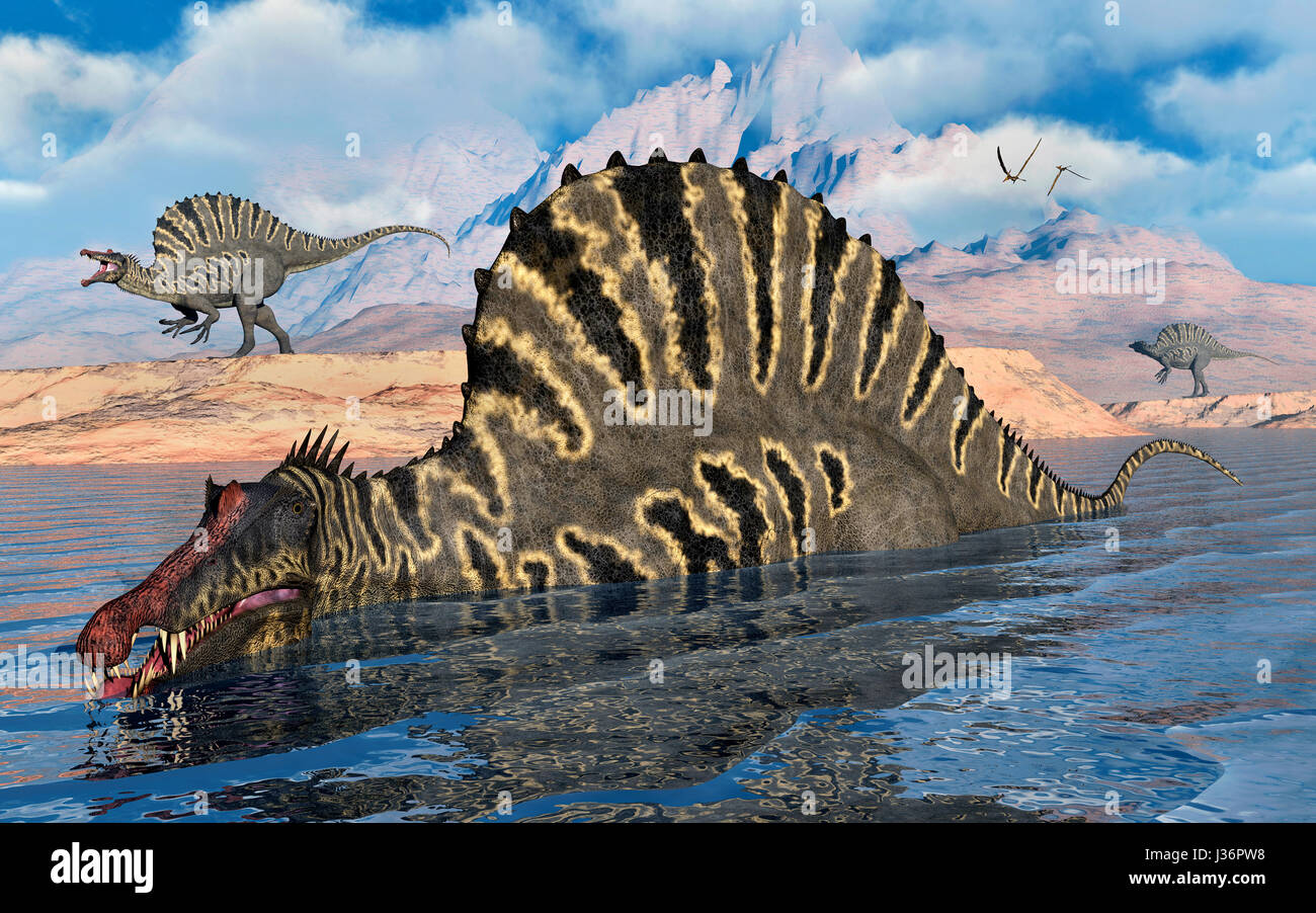 Spinosaurus Dinosaurs Hunting For Food , During Earths Cretaceous Era , In What Is Modern Day North Africa.. Stock Photo