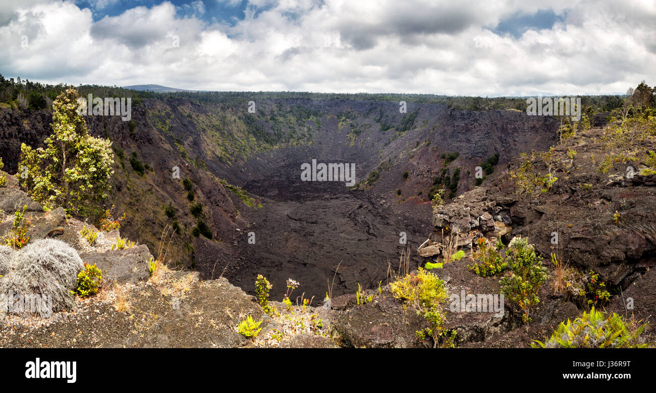 Pauahi Crater at the Chain of Craters Road in the Hawaii Volcanoes National Park on Big Island, Hawaii, USA. Stock Photo