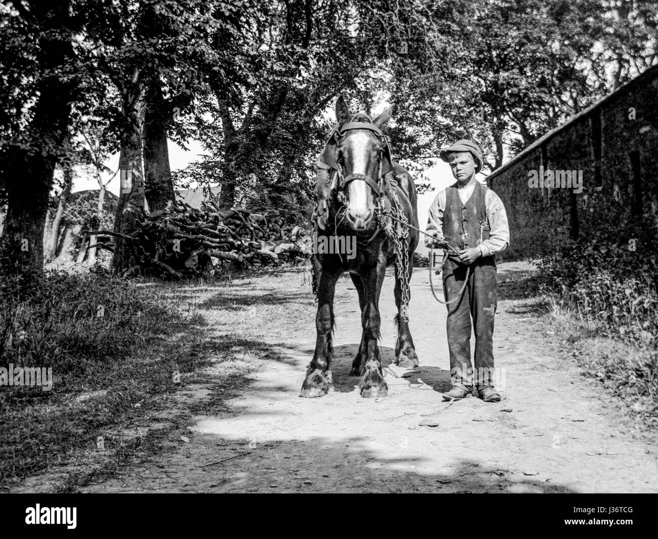 B667 Vintage photo ca 1920 Follow me Edwardian man boy horse horseback ride vernacular snapshot photograph