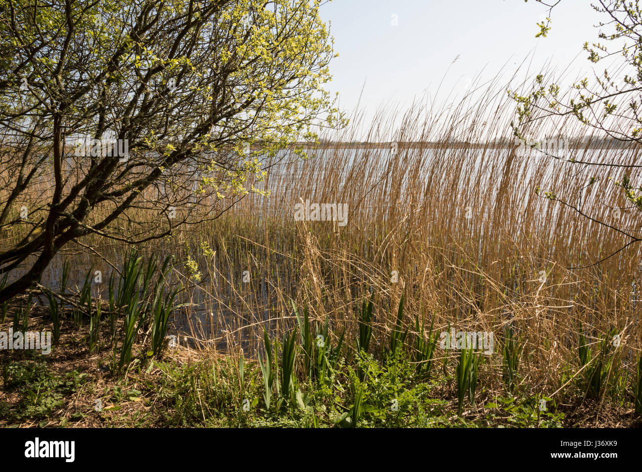 Marginal sea hi-res stock photography and images - Alamy