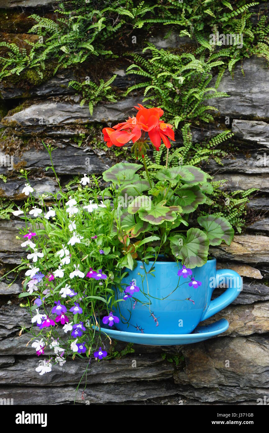 Hanging Garden Planter Shaped As A Tea Cup And Saucer Stock Photo