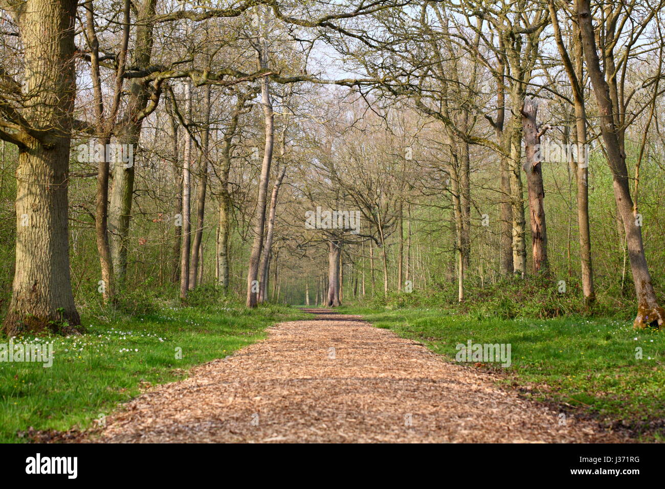 Shenley wood hires stock photography and images Alamy