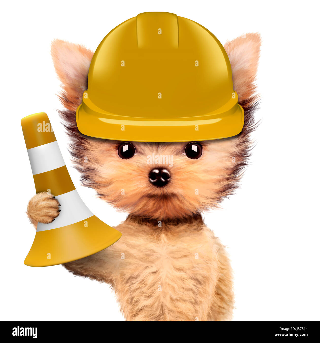Funny dog in hard hat with cone isolated on white Stock Photo Alamy