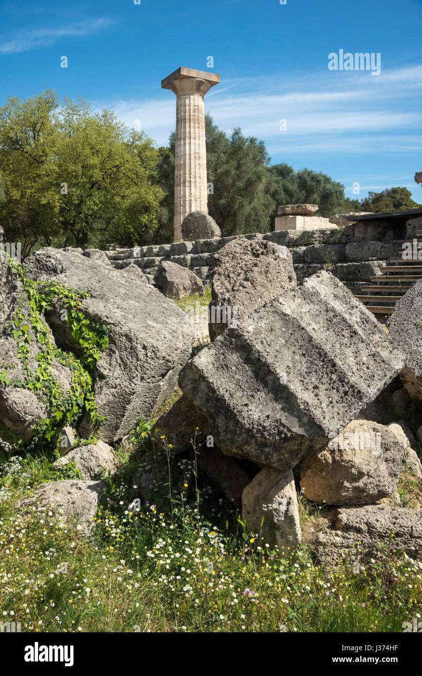 A re erected doric column towers over similar fallen capitals and column drums at the Temple of Zeus at ancient Olympia, Peloponnese, Greece. Stock Photo