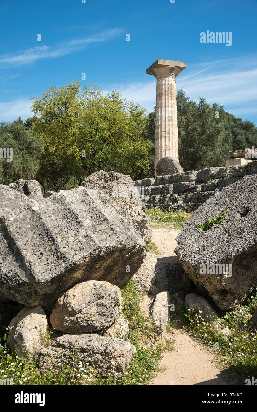 A re erected doric column towers over similar fallen capitals and column drums at the Temple of Zeus at ancient Olympia, Peloponnese, Greece. Stock Photo