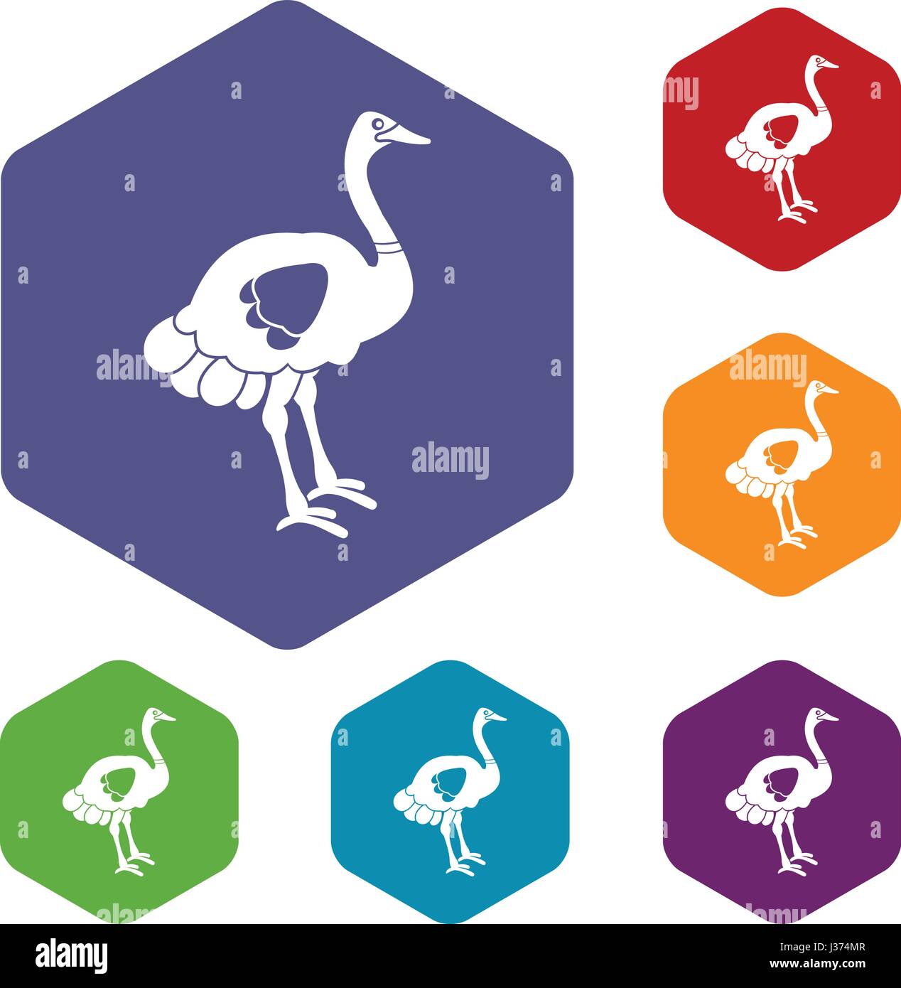 Ostrich icons set hexagon Stock Vector Image & Art - Alamy