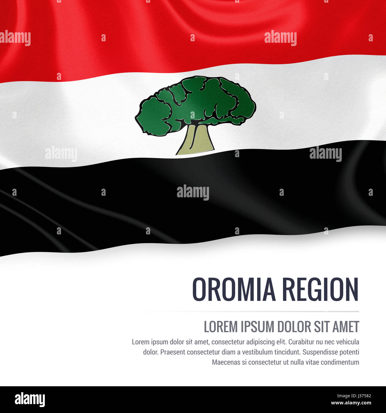 Oromia Region Logo