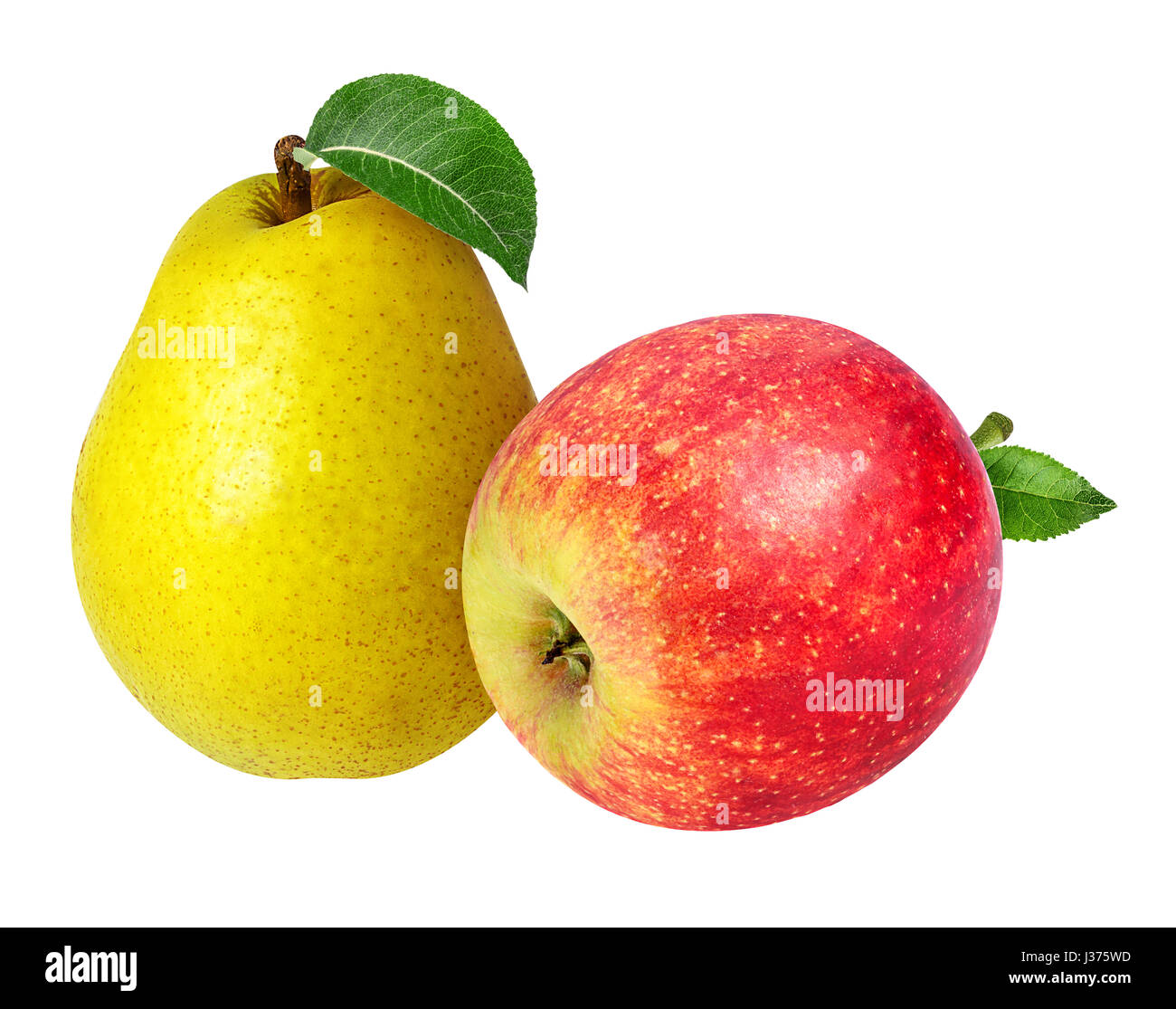 apples and pear  isolated on white background Stock Photo