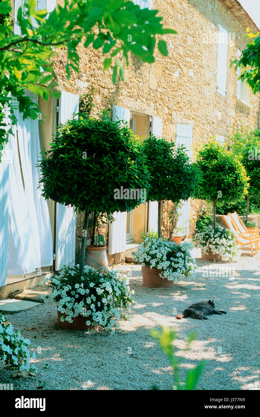 A row of trees and flowers outside of an old house Stock