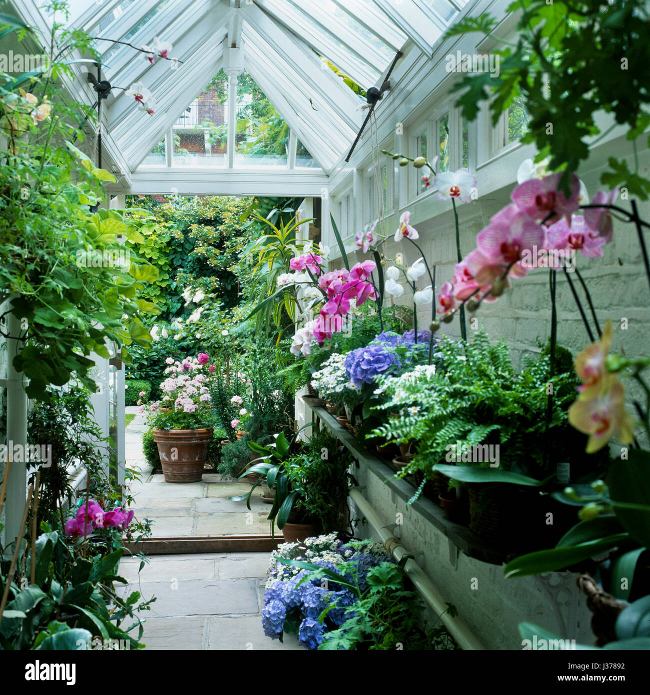 Glass greenhouse ceiling hires stock photography and images Alamy