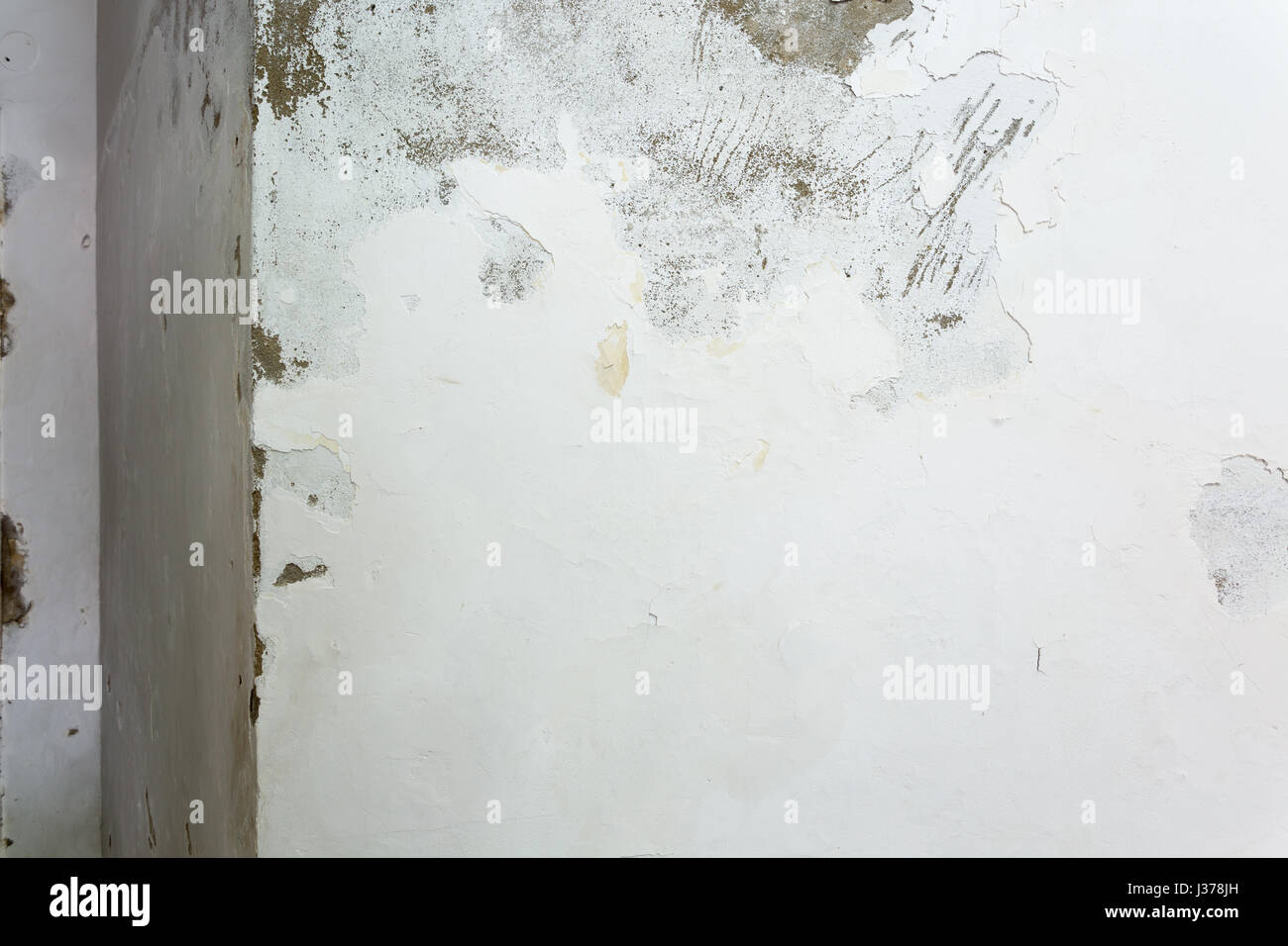Peeling and flaking paint due to rising damp on interior wall Stock Photo