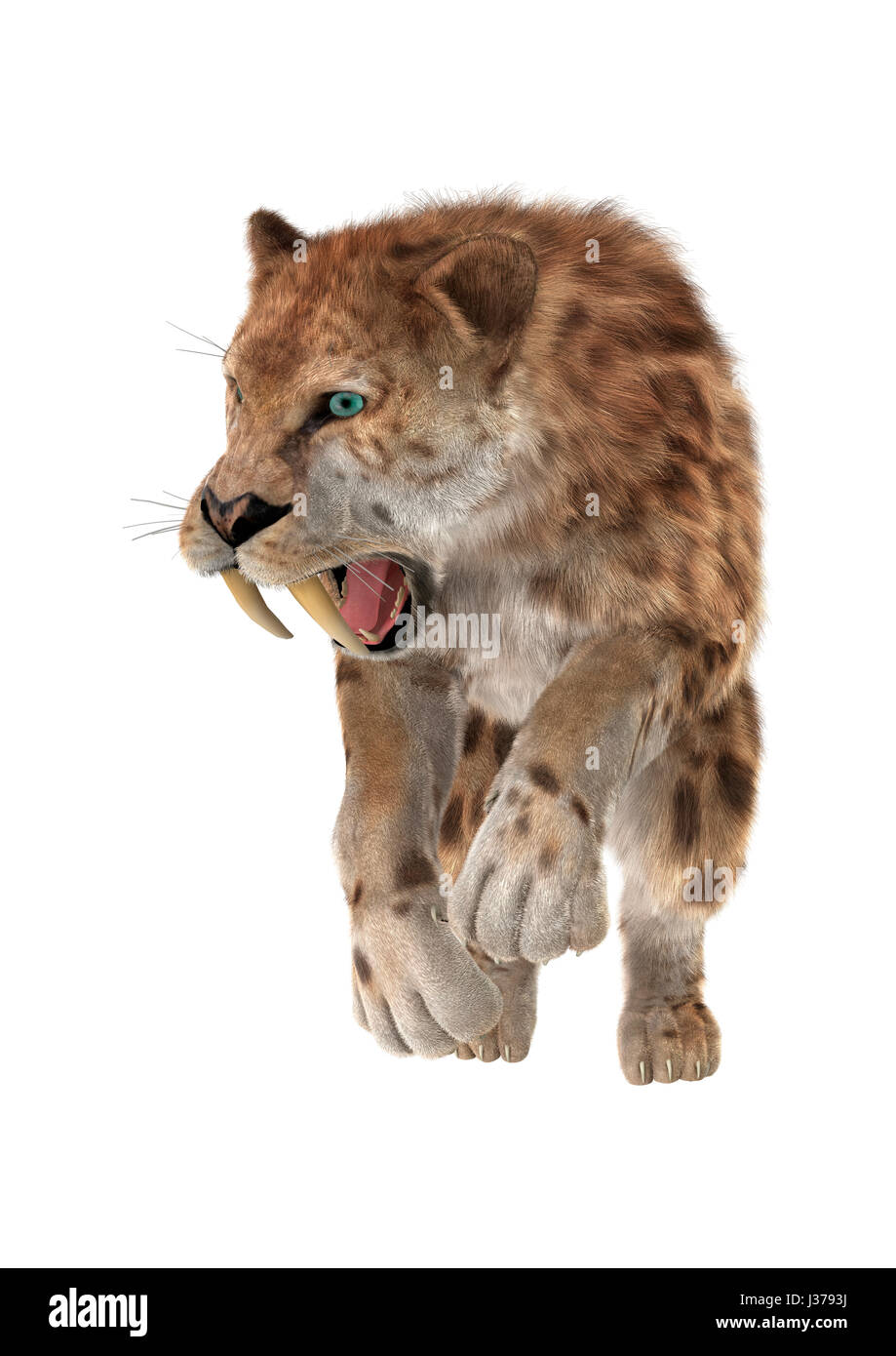 3D rendering of a saber tooth tiger isolated on white background Stock ...