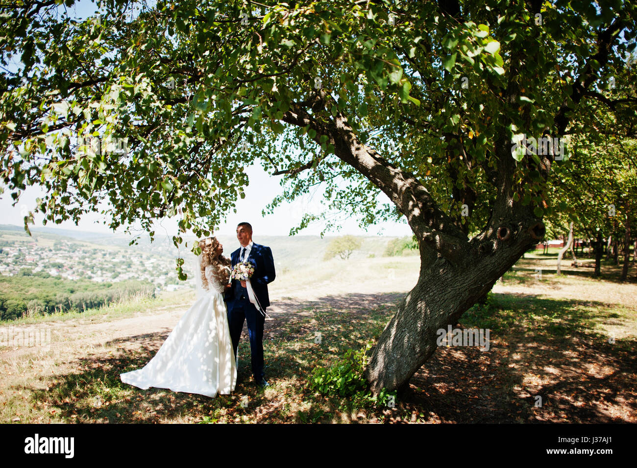 Happy wedding couple in love near trees on sunny day Stock Photo - Alamy