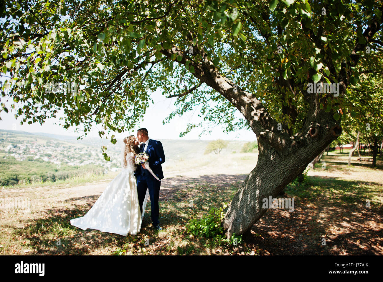 Happy wedding couple in love near trees on sunny day Stock Photo - Alamy