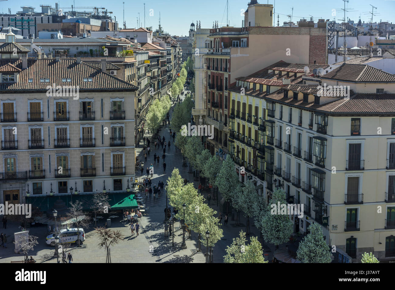 Blooming cherry trees from Plaza de Isabel II along Arenal street (Calle del Arenal) to Puerta del Sol square and clock tower, Madrid Spain Stock Photo