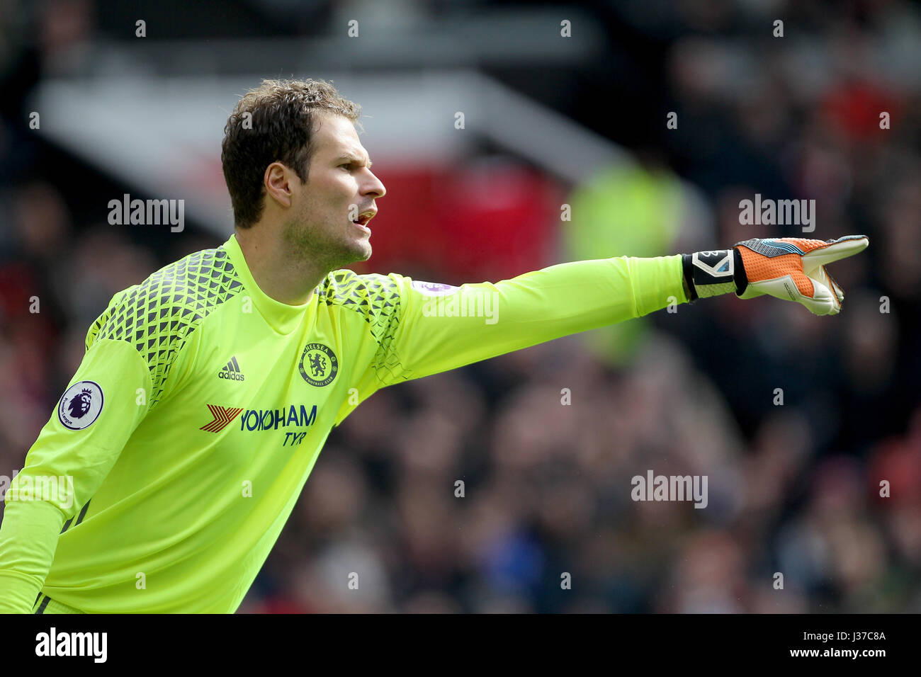 Begovic Chelsea ASMIR BEGOVIC OF CHELSEA MANCHESTER UNITED V CHELSEA OLD TRAFFORD ...