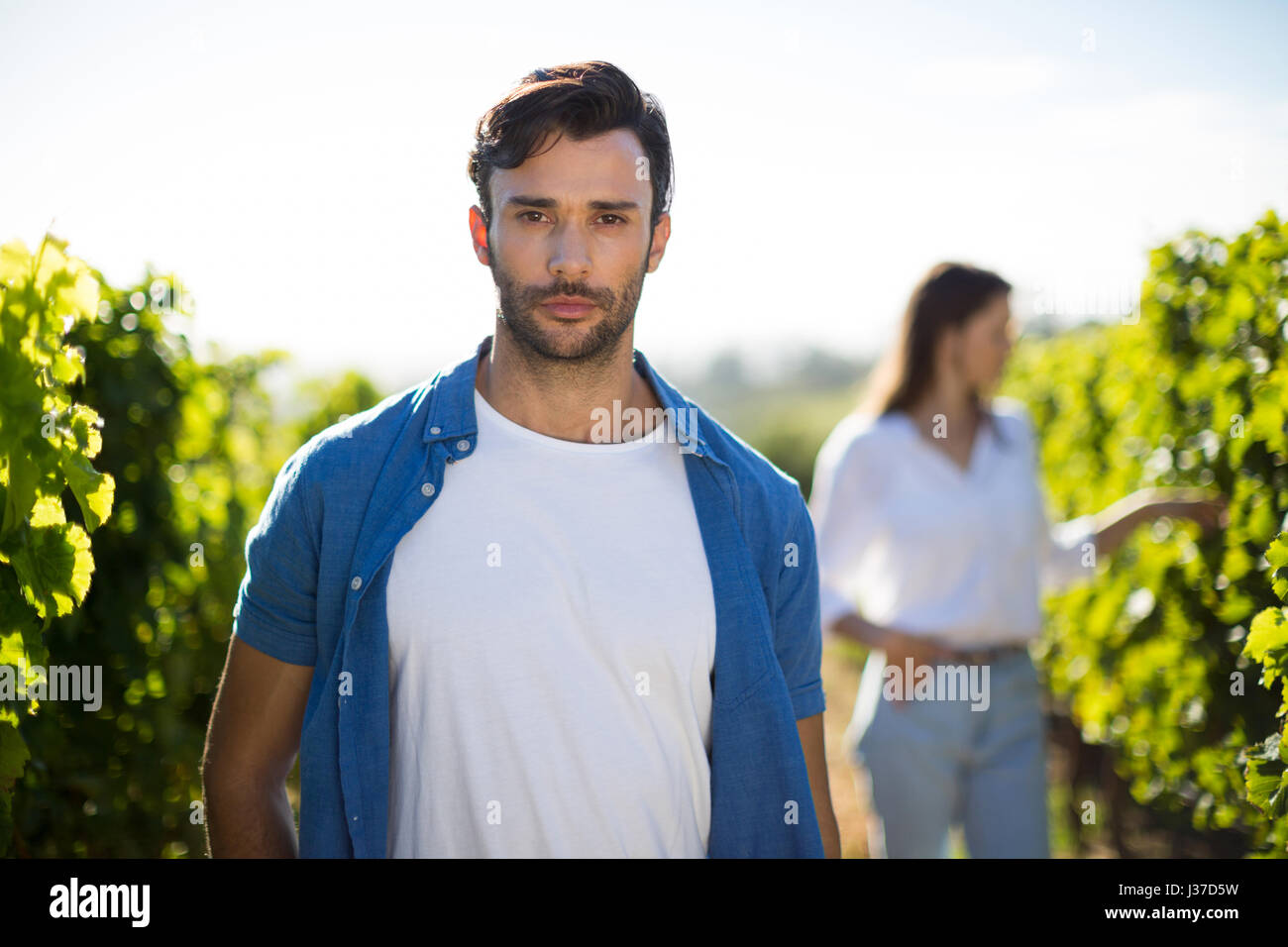 Serious young man standing at vineyard during sunny day Stock Photo - Alamy