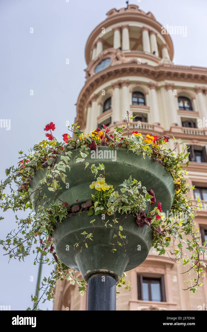 Flowers decorating Plaza de Callao Square and blurry Vitalicio Building tower in the background. Madrid, Spain Stock Photo