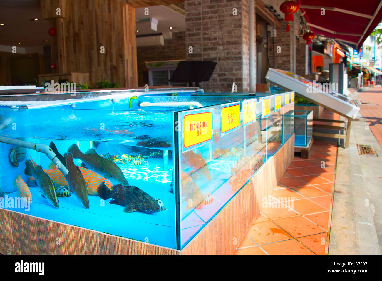 Lots of live fish in aquarium at seafood restaurant in Singapore Stock