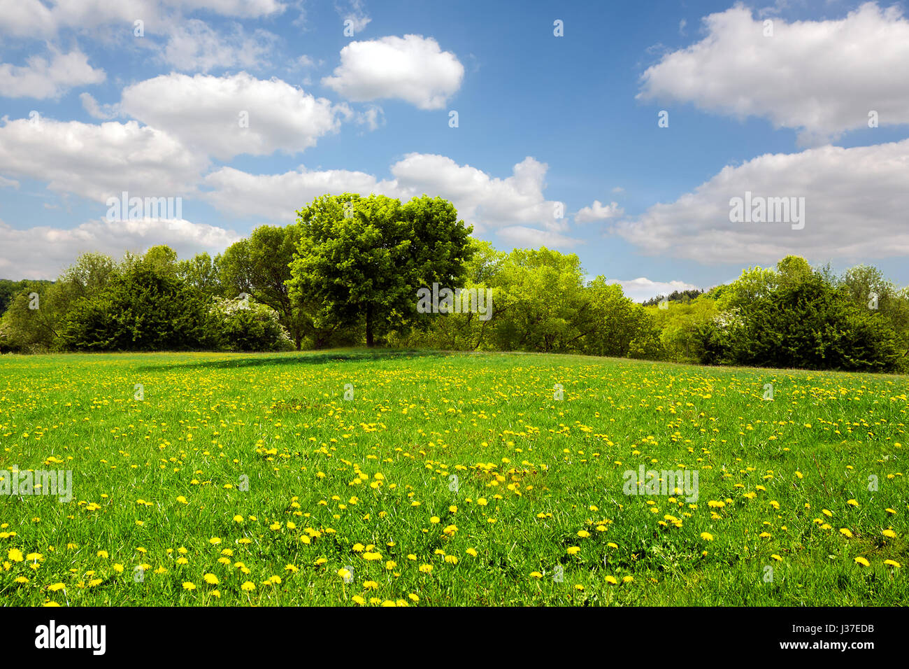 Beautiful spring landscape Stock Photo - Alamy