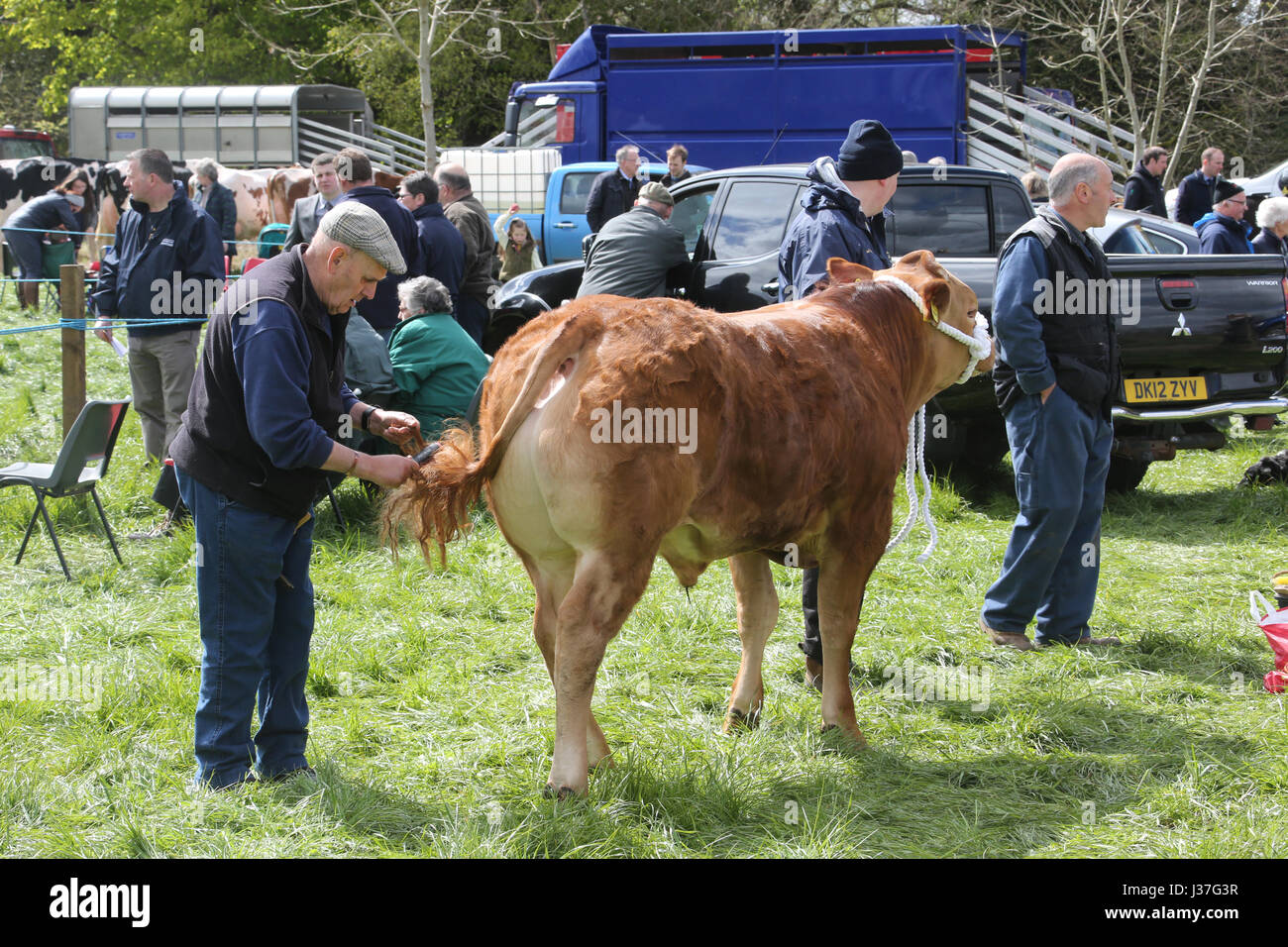 Annual scottish village agricultural show at Ochiltree, Ayrshire