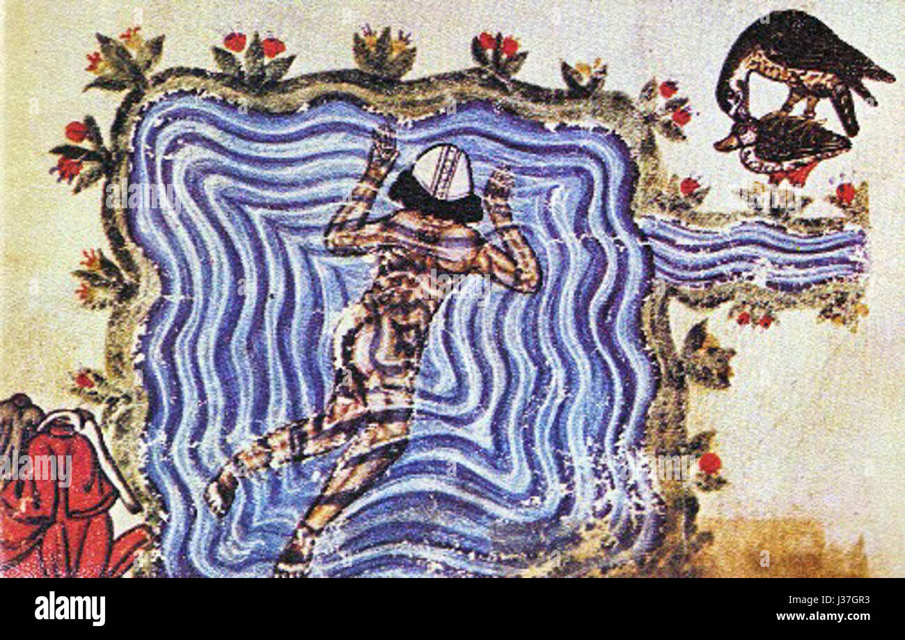 De arte venandi cum avibus2 Stock Photo Alamy