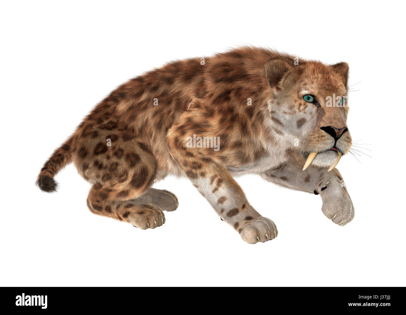 Saber Tooth Tiger High Resolution Stock Photography and Images - Alamy