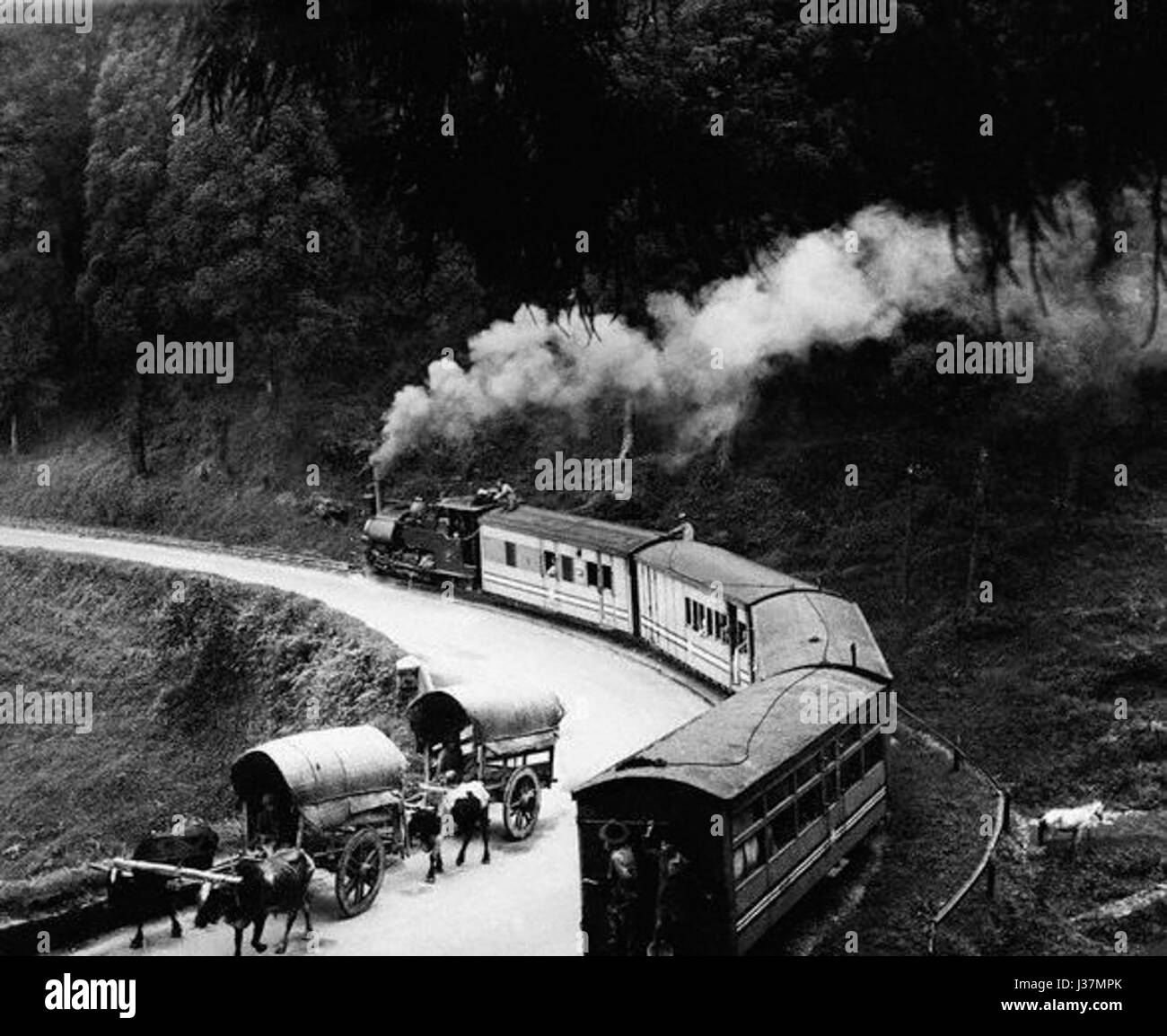 Darjeeling Hill Train Stock Photo