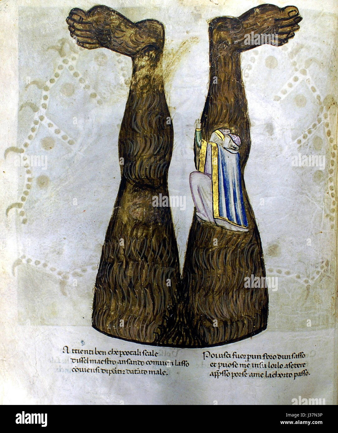 Dante map hi-res stock photography and images - Alamy