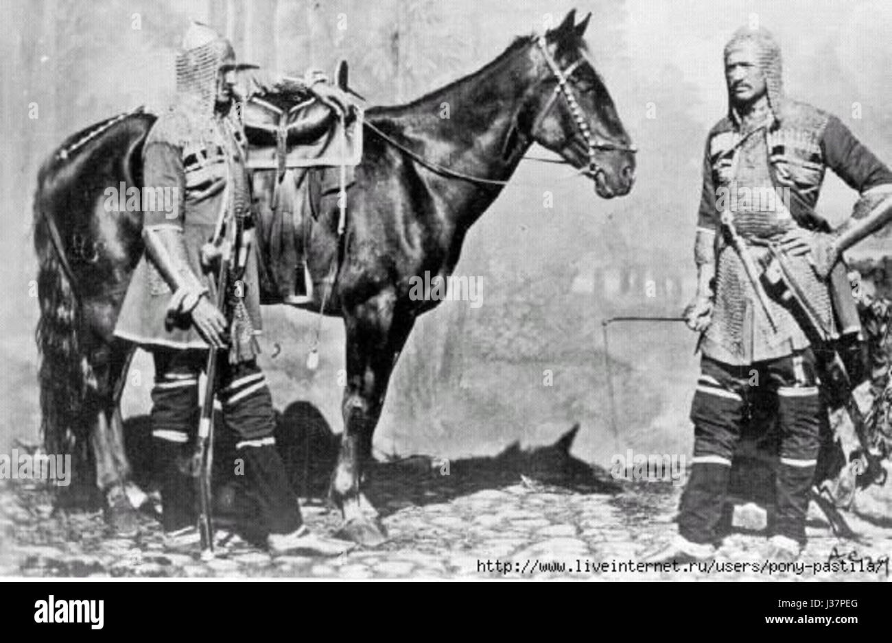 Circassian horse Stock Photo