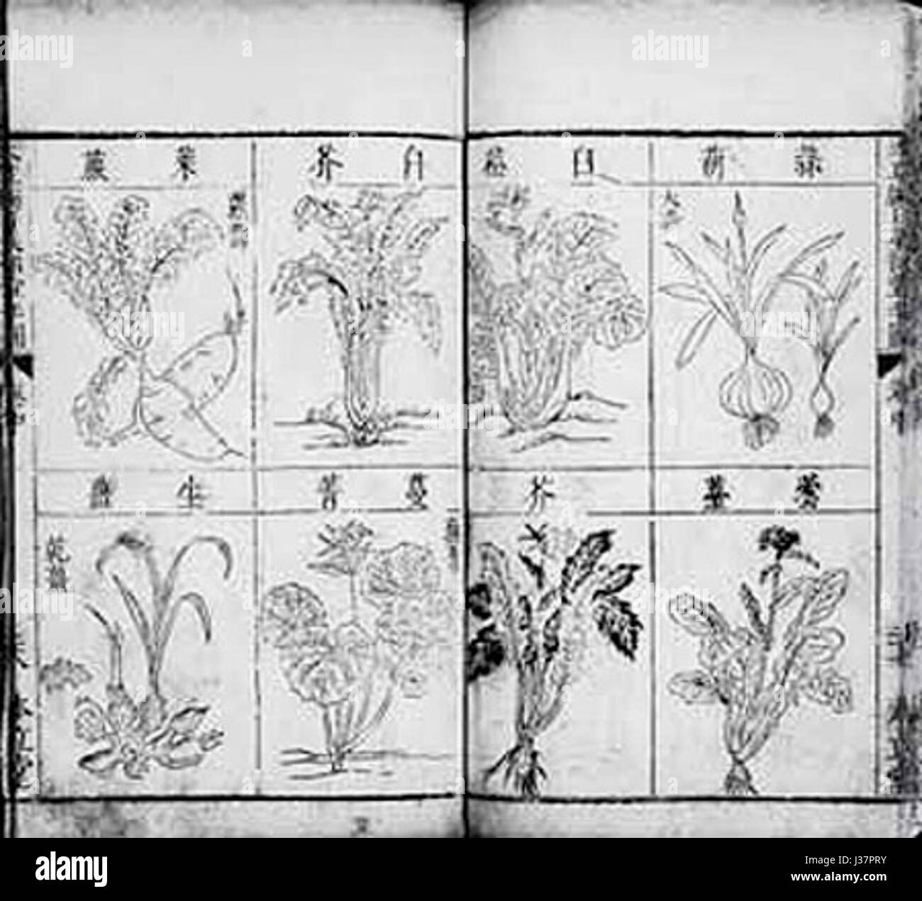 Compendium of Materia Medica 2 Stock Photo Alamy