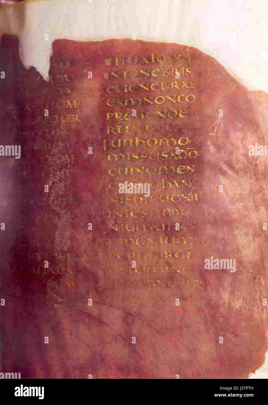 Roman Codexes Roman authors hi-res stock photography and images - Alamy
