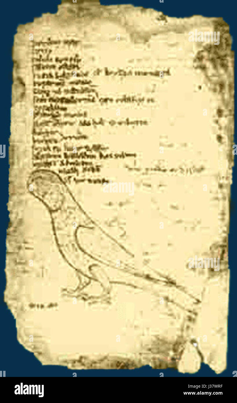 The 'Codex Cumanicus' is an important medieval manuscript containing linguistic and cultural information about the Cuman people, a Turkic ethnic group. It is a key resource for understanding the medieval Eurasian steppe and its cultures. Stock Photo
