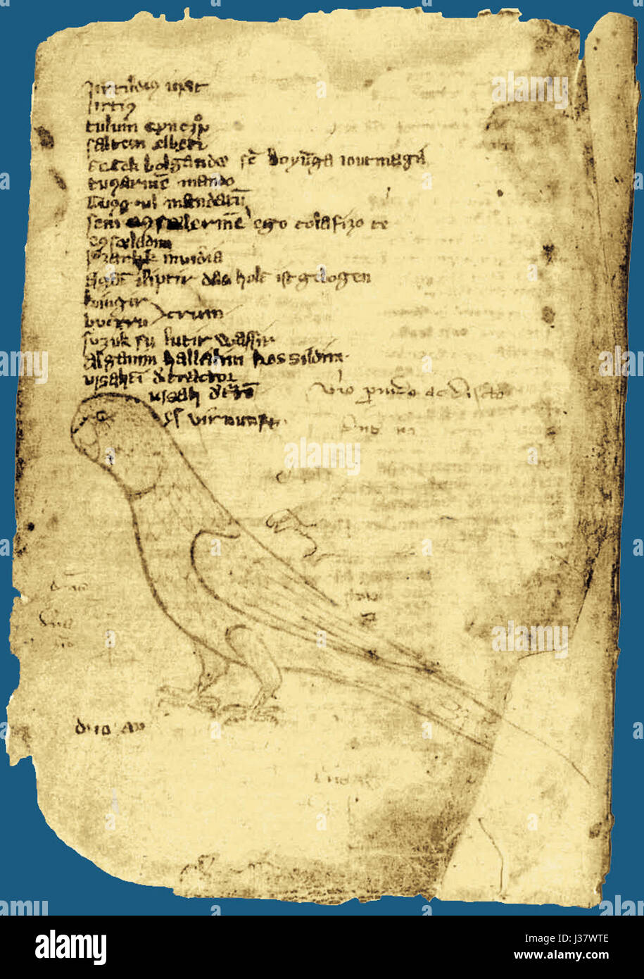 A page from the 'Codex Cumanicus,' an important medieval manuscript that offers insight into the Cuman language and culture. This page focuses on language, translations, and the interaction between different cultures during the medieval period. Stock Photo