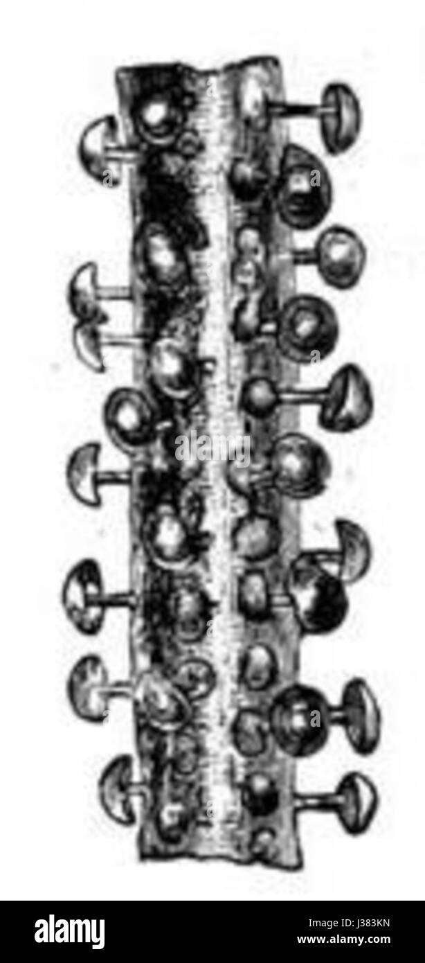 Document titled 'Darwin IP 14', potentially referring to intellectual property legislation or a publication related to Charles Darwin's work. Stock Photo