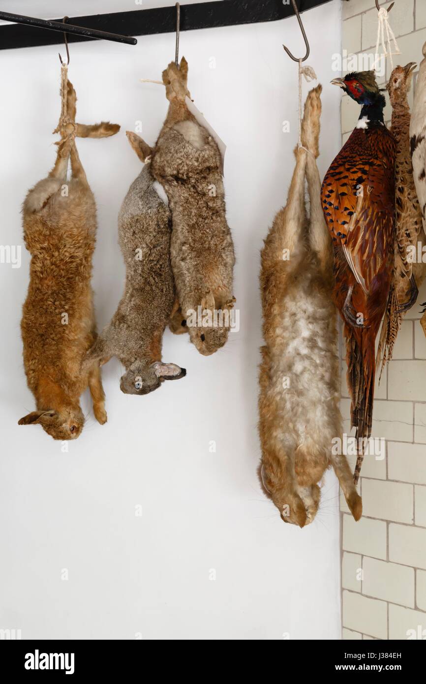 Game meat hanging to dry and age Stock Photo
