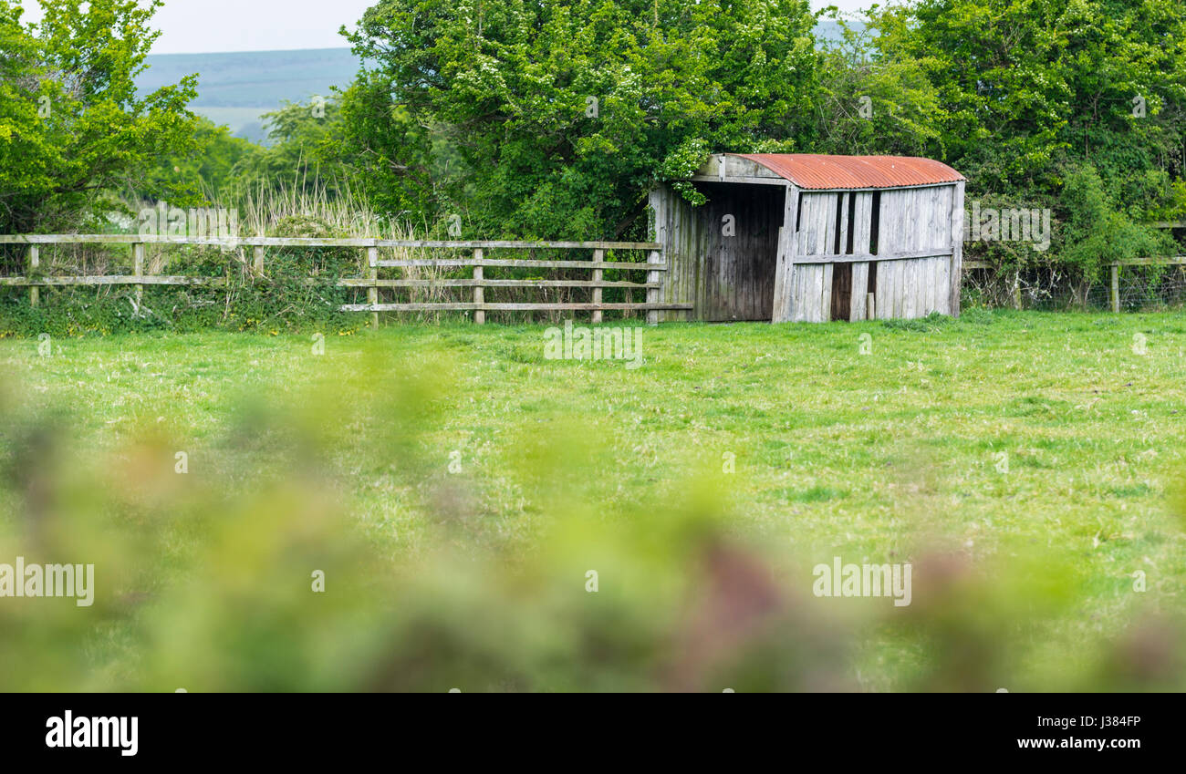 Old wooden shed hi-res stock photography and images - Alamy