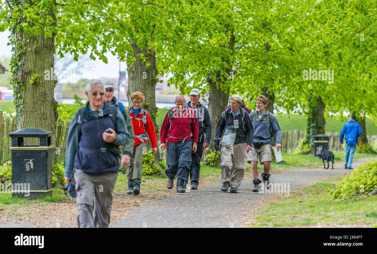 Group of elderly people walking with rucksacks preparing to go hiking or rambling. Stock Photo