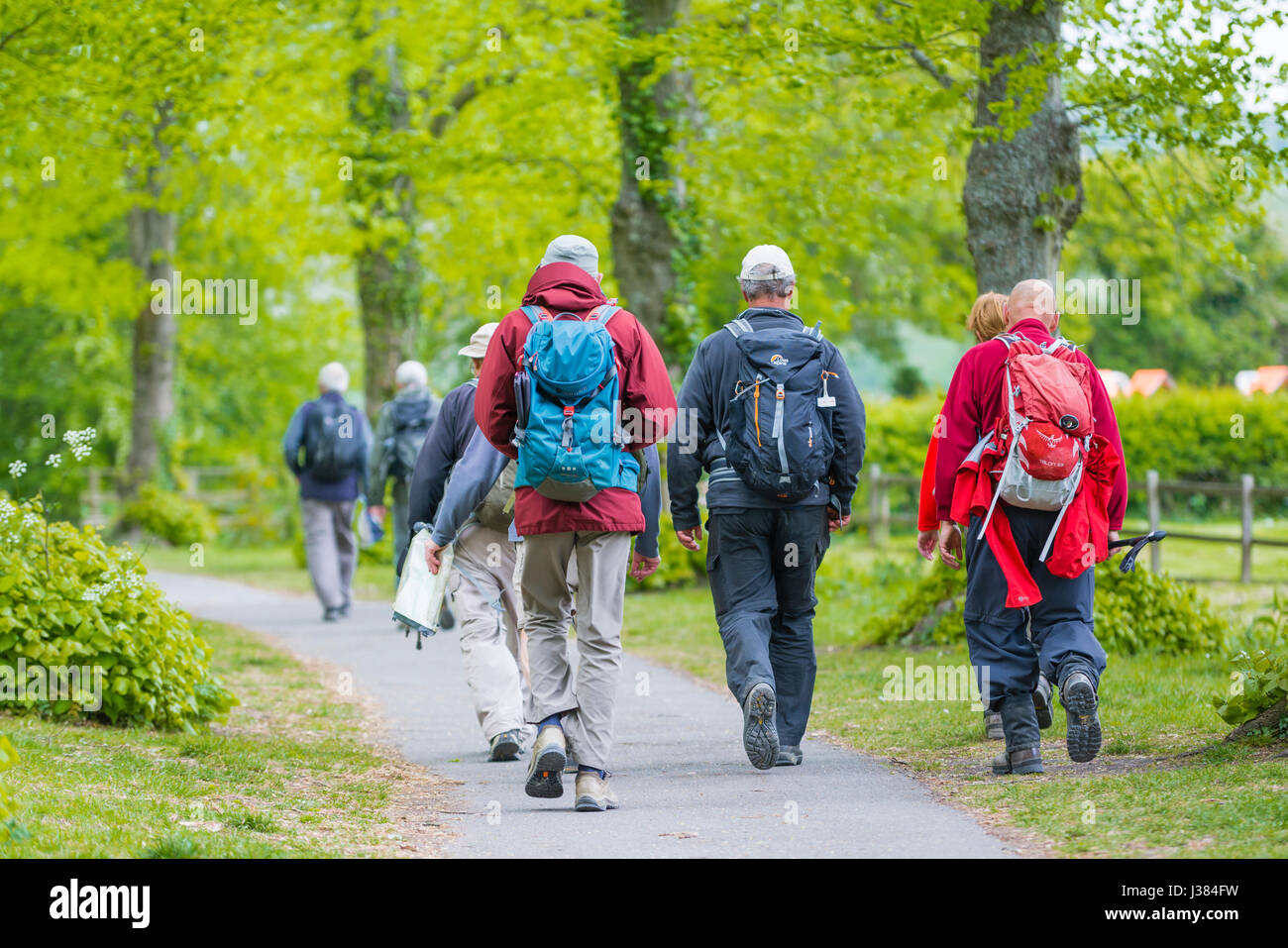 Group of elderly people walking with rucksacks preparing to go hiking or rambling. Stock Photo