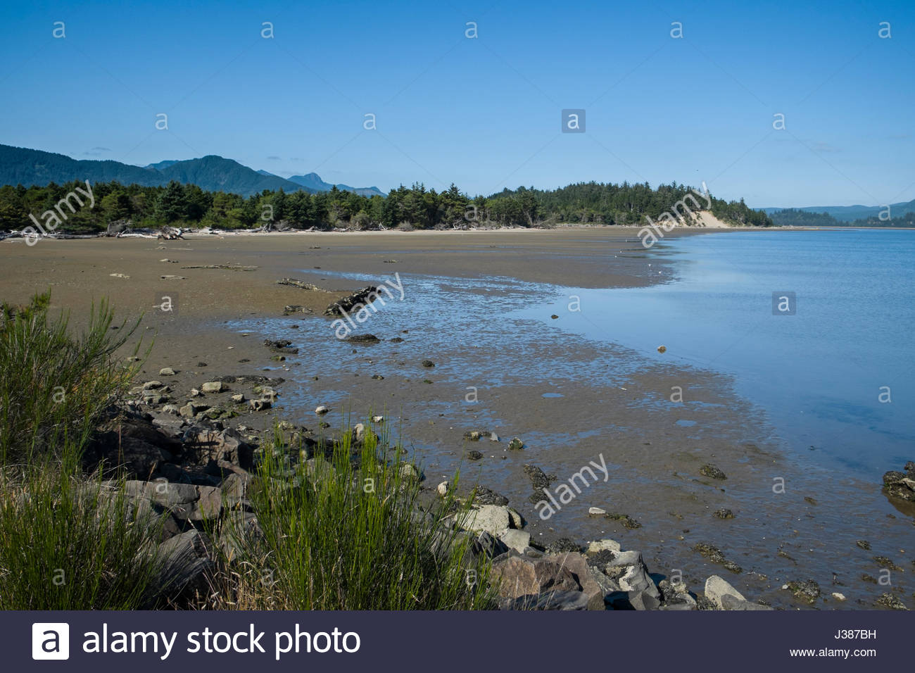 Nehalem State Park Oregon High Resolution Stock Photography and Images