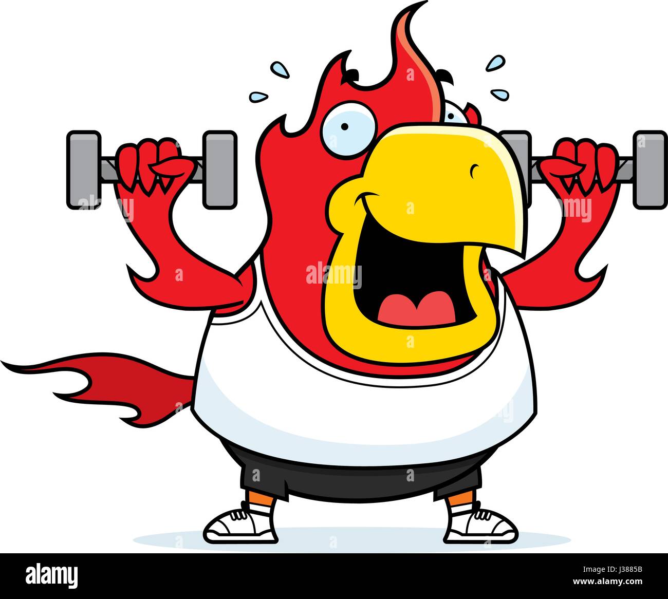 Phoenix dumbbells hotsell