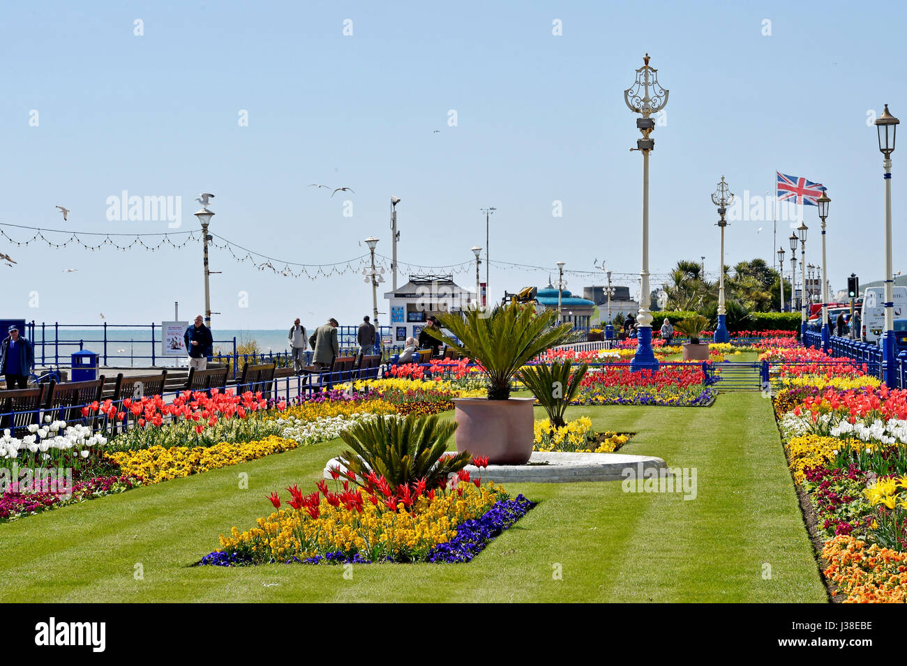 Beautiful tulips and Spring flowers on display alond Eastbourne seafront East Sussex UK Stock Photo