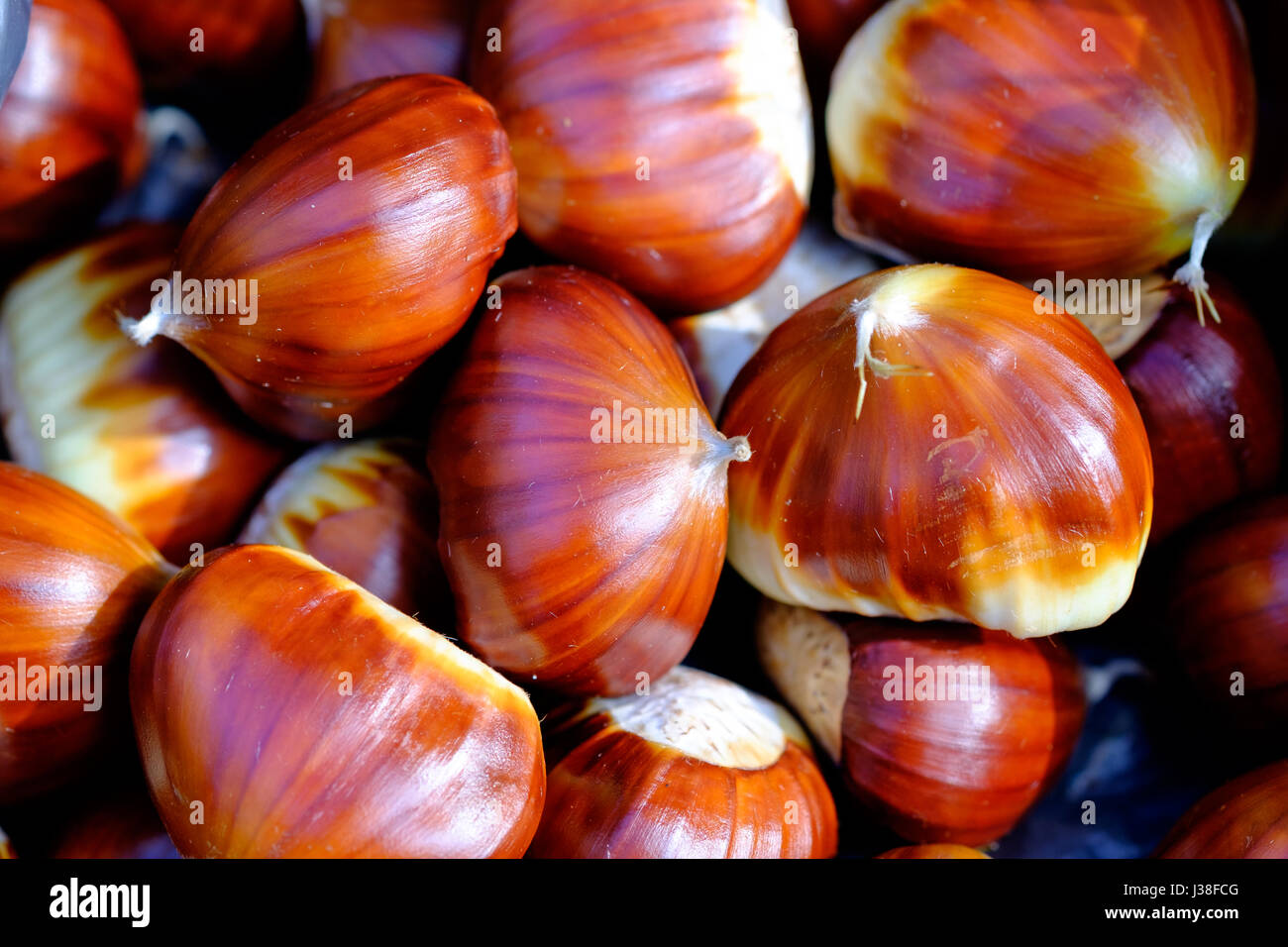 Close up of a pile of freshly picked glossy brown chestnuts Stock Photo