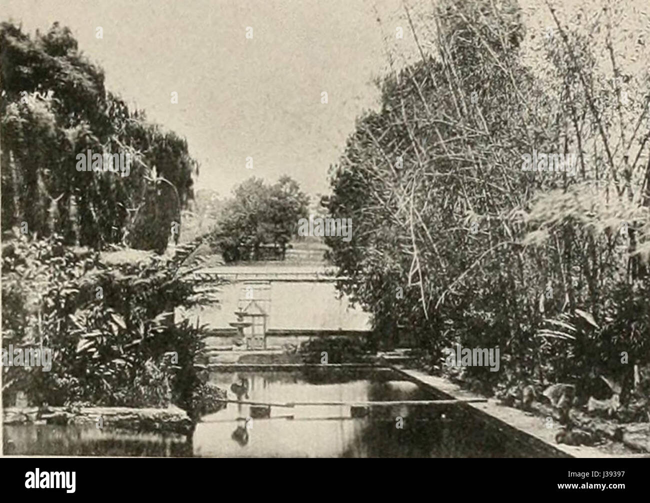 Cranbrook pond 1895 Stock Photo