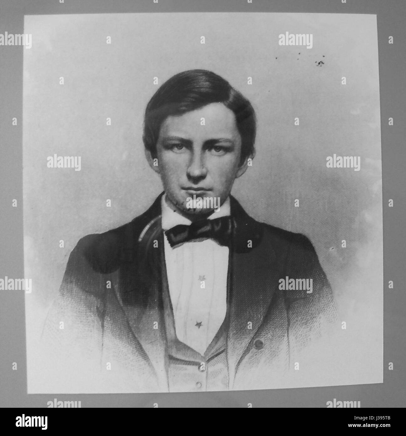 Charles Morris McCook was an American naturalist and entomologist, renowned for his studies of insects and his contributions to the field of natural history and entomology. Stock Photo