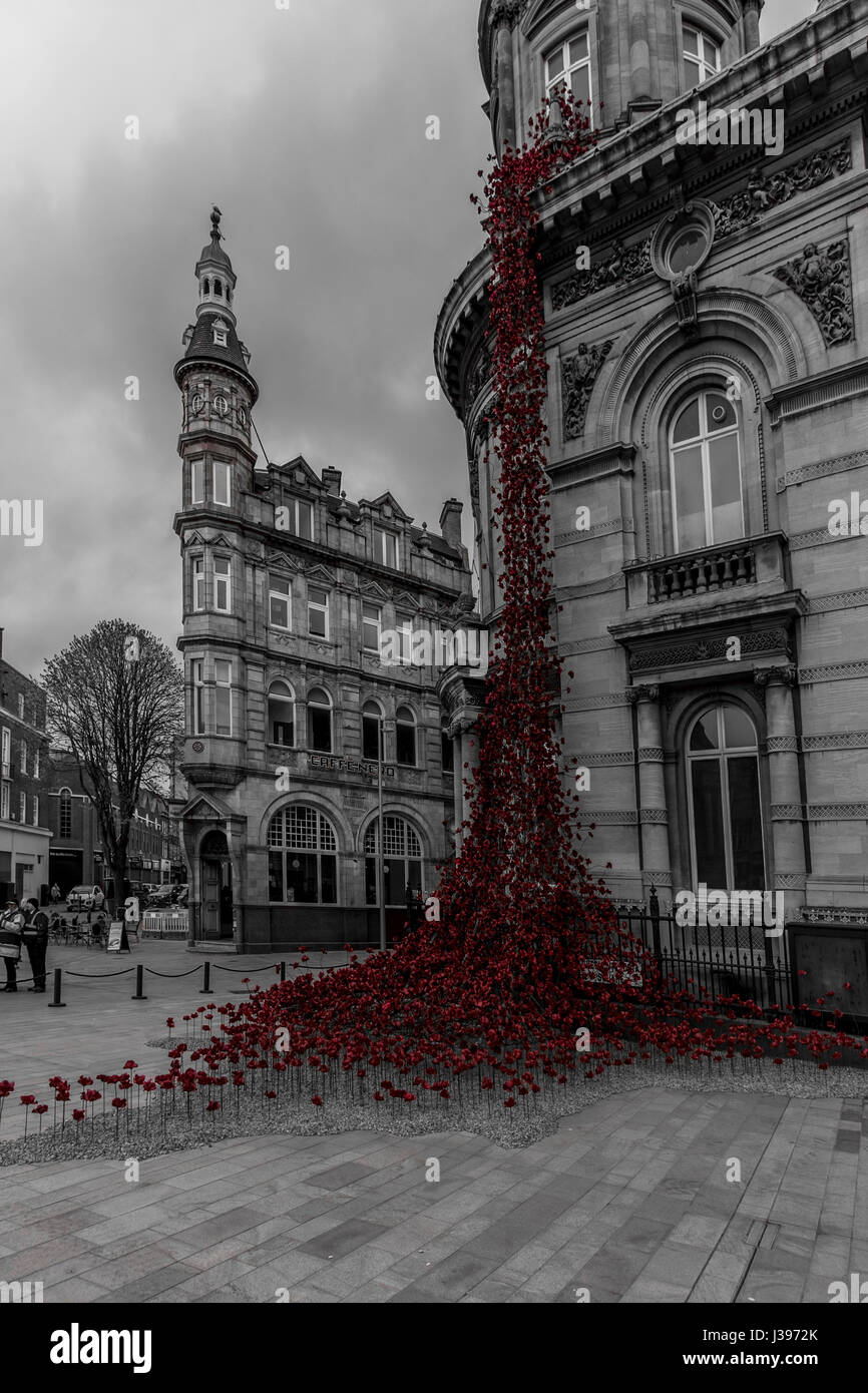 Poppies flowing from the weeping window in Victoria square Hull Stock Photo