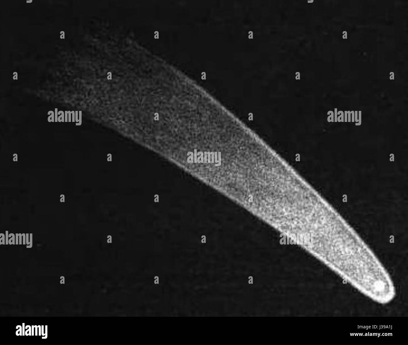 Comet of 1811 Stock Photo Alamy