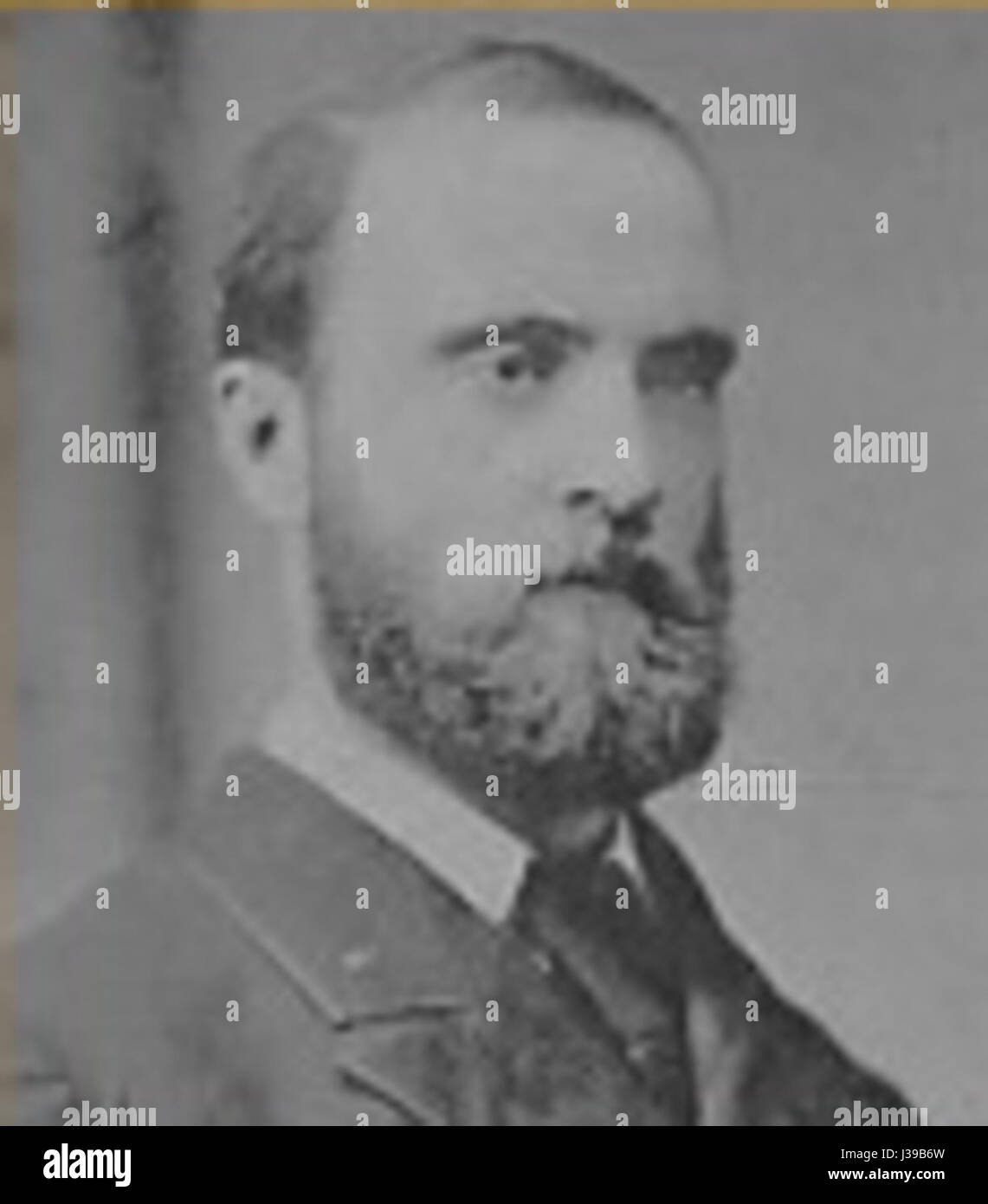 Charles Stewart Parnell was an Irish politician and leader of the Irish Parliamentary Party, known for his role in advocating for Irish Home Rule during the late 19th century. His leadership was pivotal in Irish political history. Stock Photo