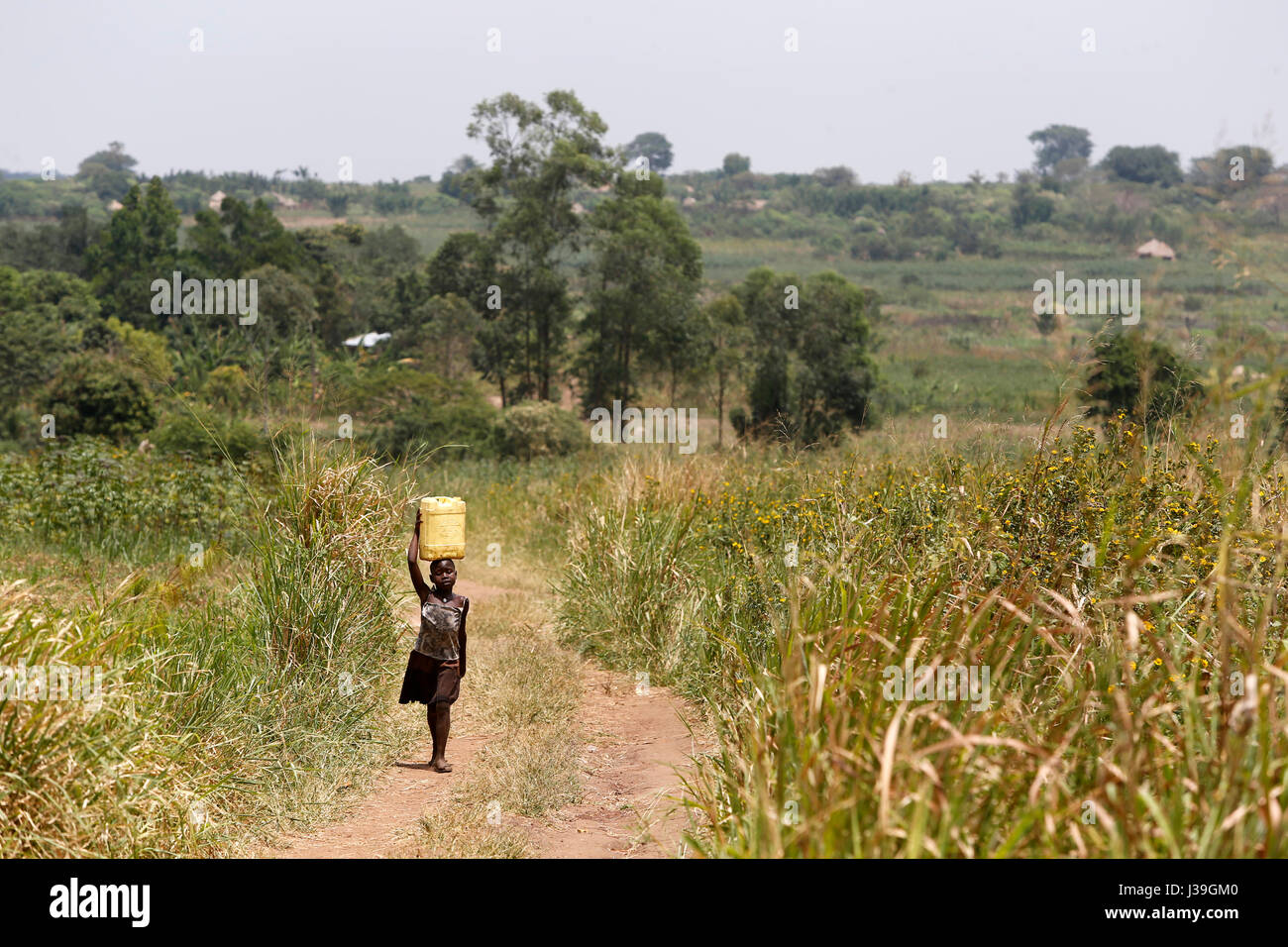 Ugandan child fetching water. Stock Photo