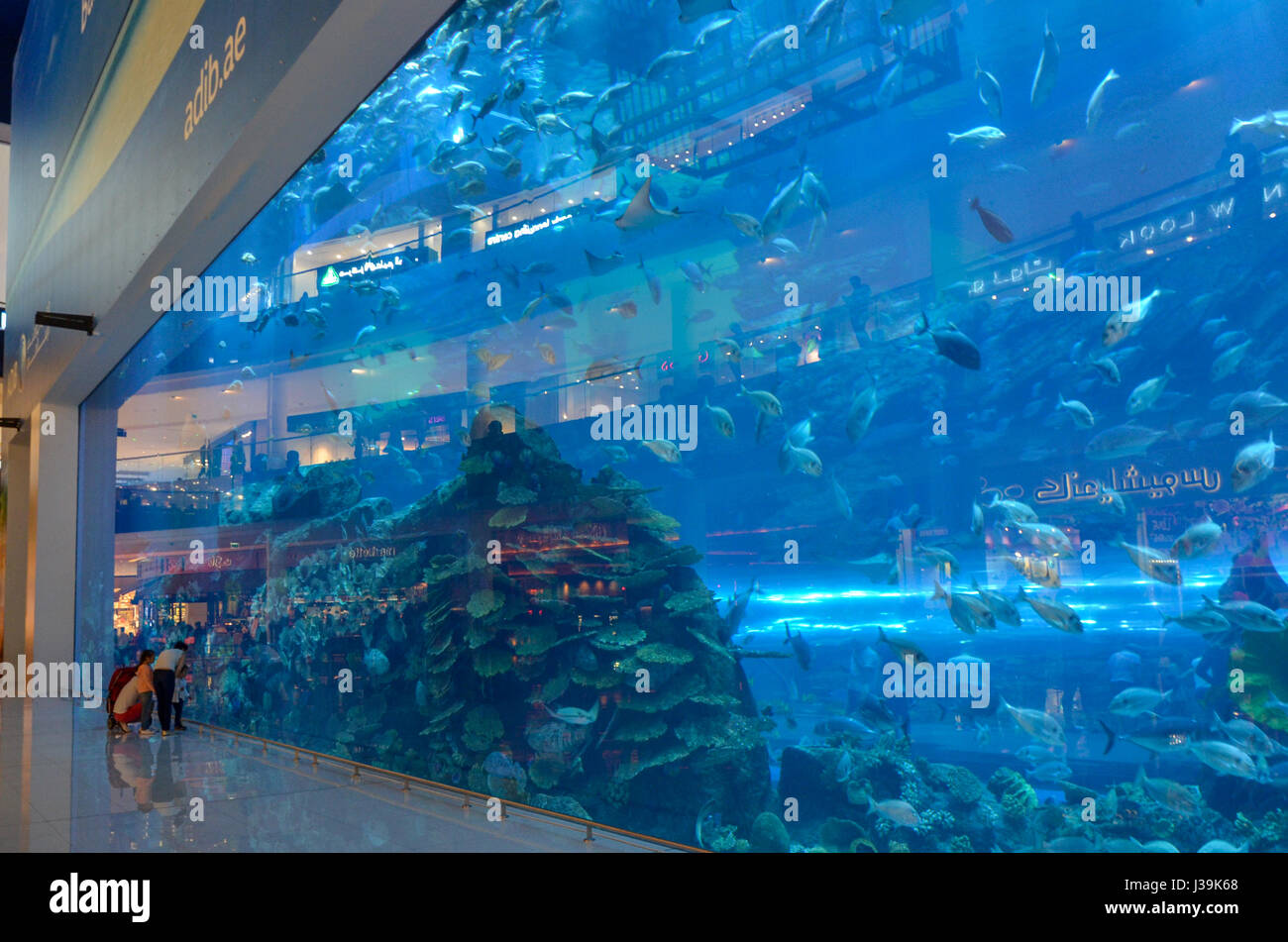 Dubai Shopping Mall (Aquarium) & Underwater Zoo, Dubai Downtown, United